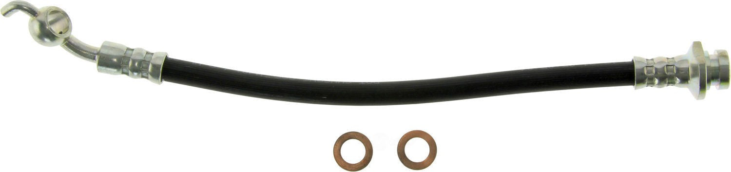 Rr Brake Hose  Centric Parts  150.42434