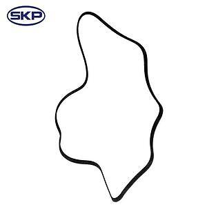 Serpentine Belt  Skyward Automotive  SK060802