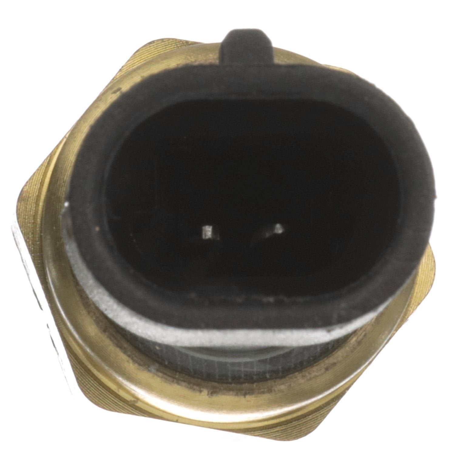 Coolant Temp Sensor  Delphi  TS10076