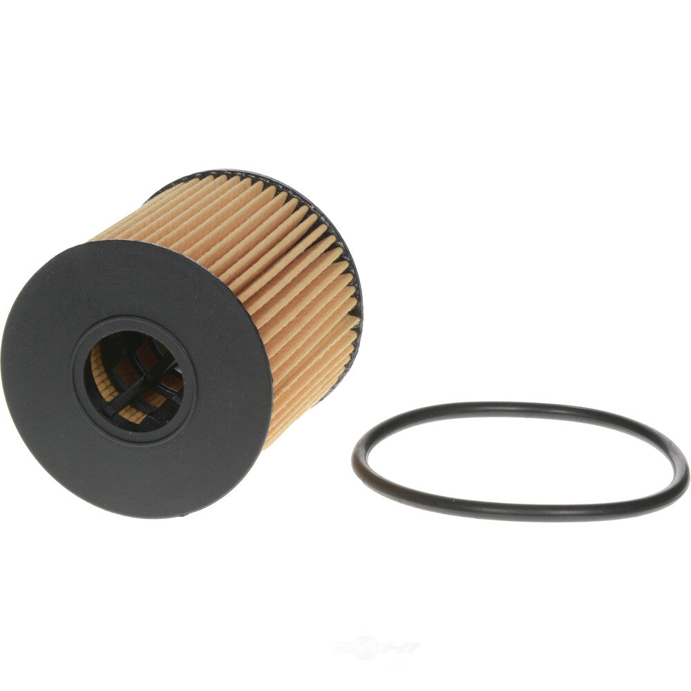 Oil Filter  Champ/Champion Labs  P978
