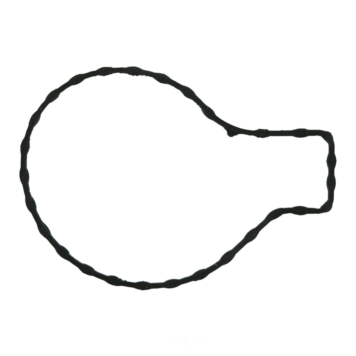 Water Pump Mounting Gasket   Fel-Pro   36010