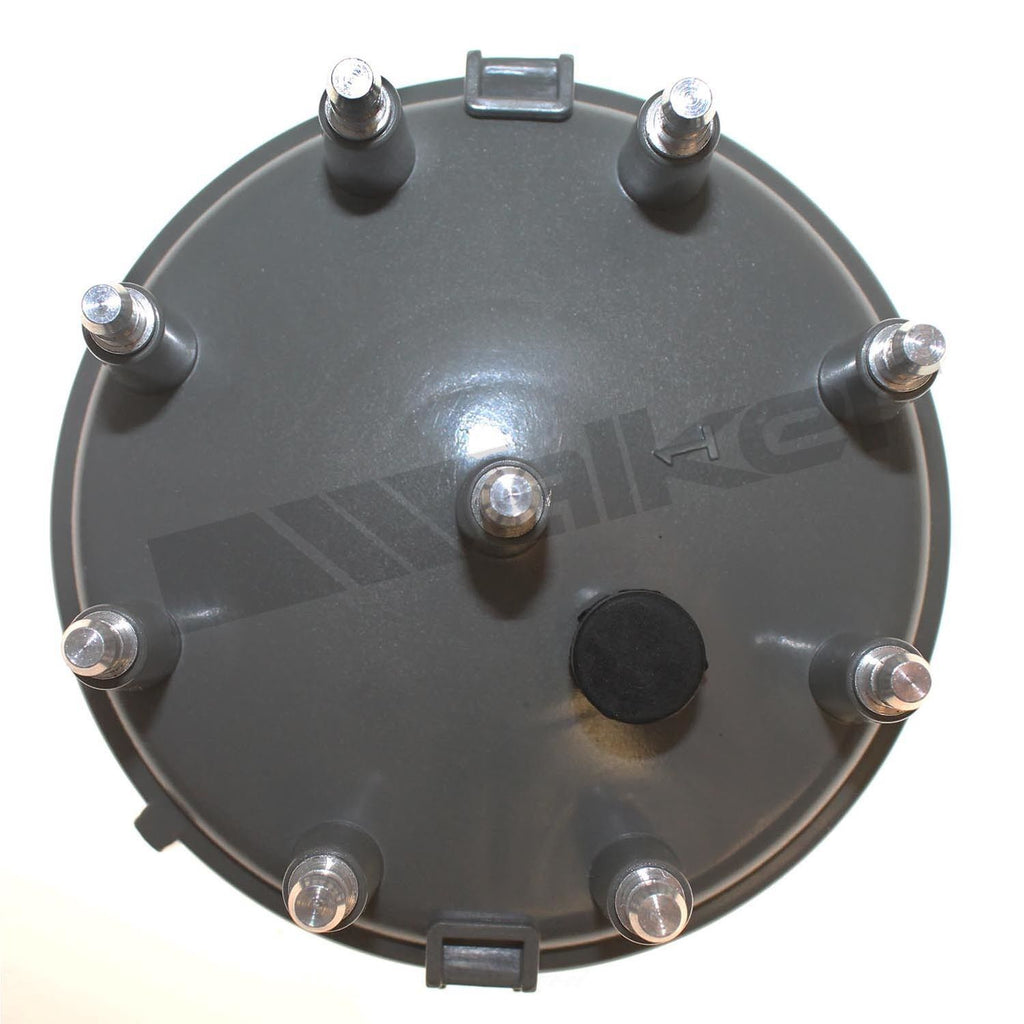 Dist Cap  Walker Products  925-1019