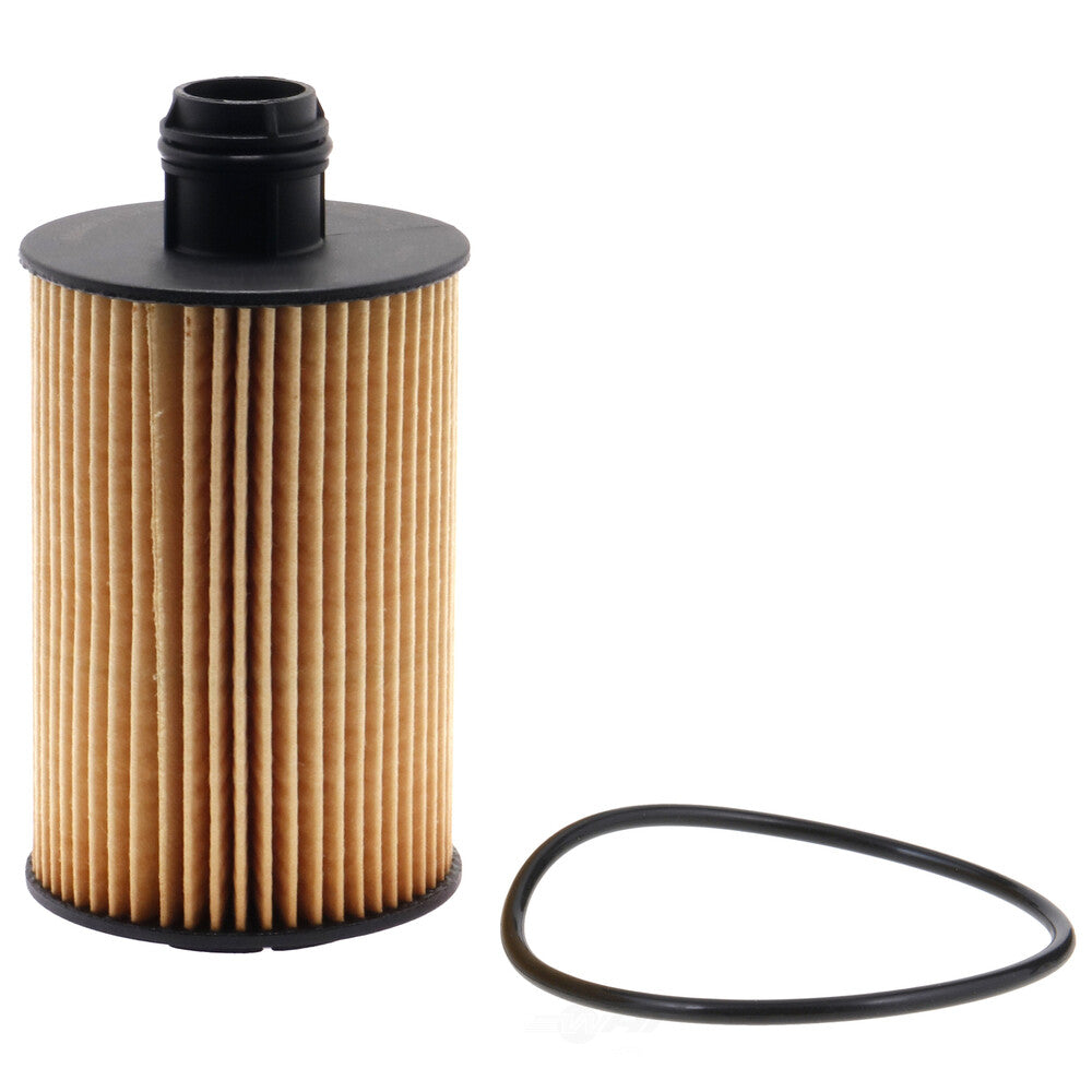 Oil Filter  Champ/Champion Labs  P1014