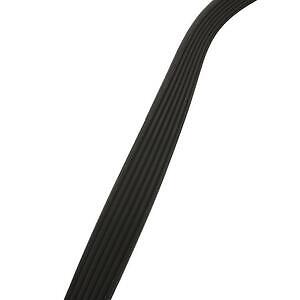 Serpentine Belt  Skyward Automotive  SK070834