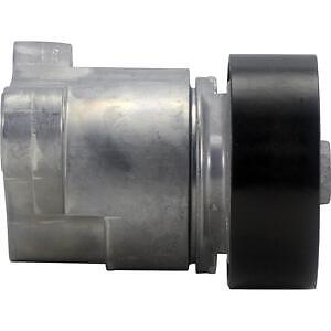 Belt Tensioner Assy  Continental  49818