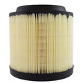 Air Filter  Motorcraft  FA2022
