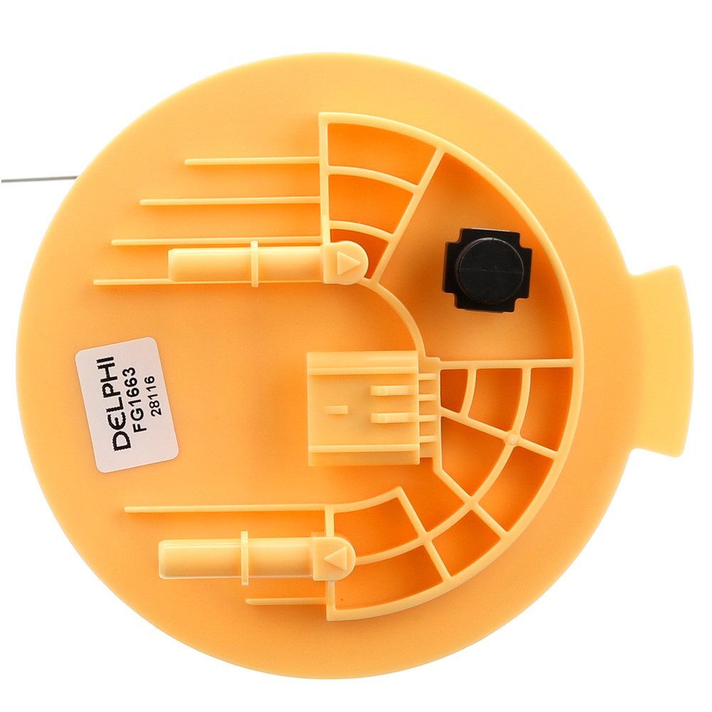 Fuel Pump Module Assy  Delphi  FG1663
