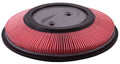 Air Filter  Power Train Components  PA4669
