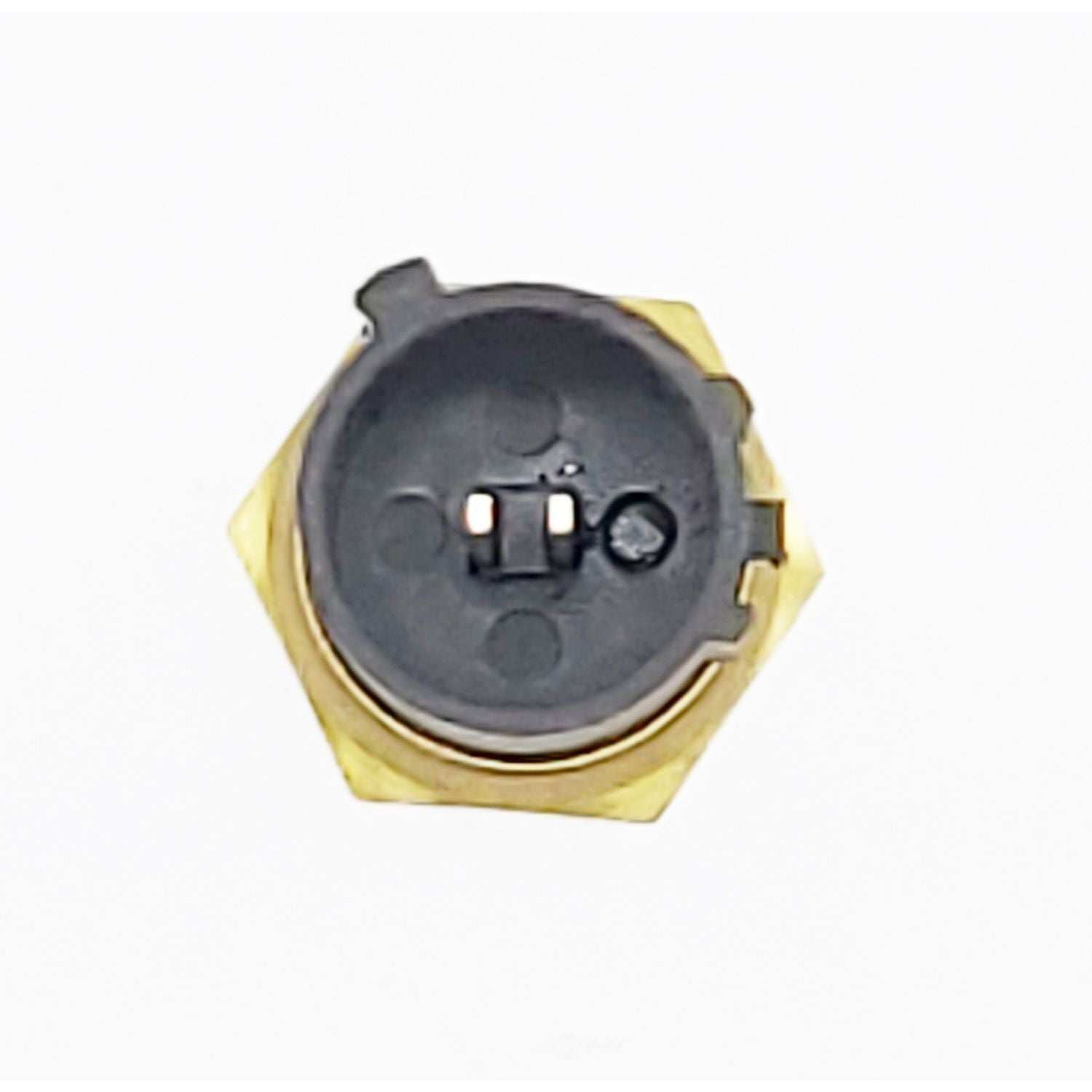 Coolant Temp Sensor   Holstein   2CTS0121