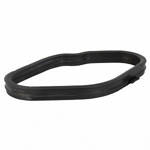 Inj Pmp Mount Gasket  Motorcraft  CG819