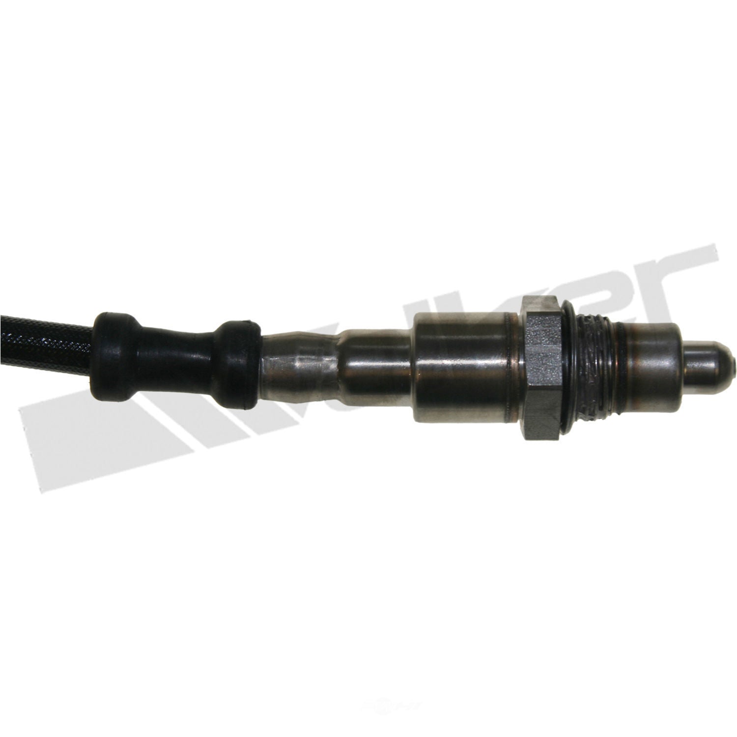 Oxygen Sensor  Walker Products  250-241142