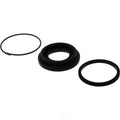 Rr Brake Caliper Kit  Centric Parts  143.34008