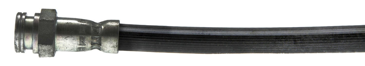 Rr Brake Hose  Centric Parts  150.42302