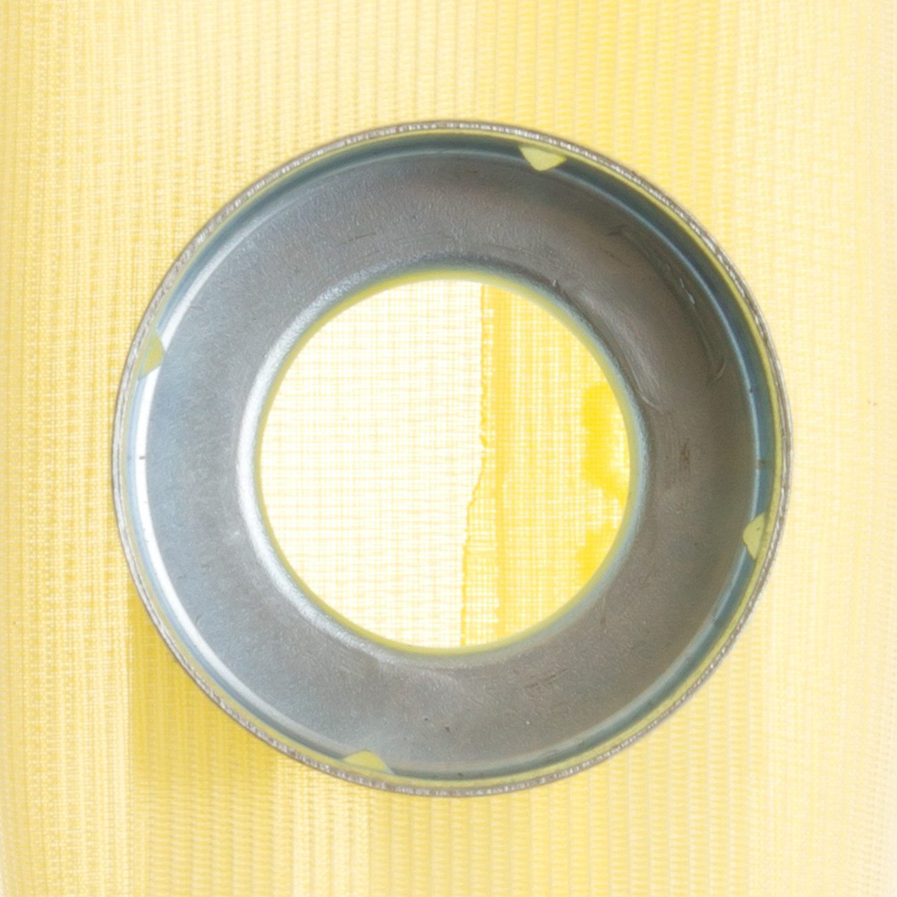 Fuel Pump Strainer  Delphi  FS0031