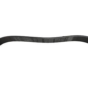 Serpentine Belt  Skyward Automotive  SK061054