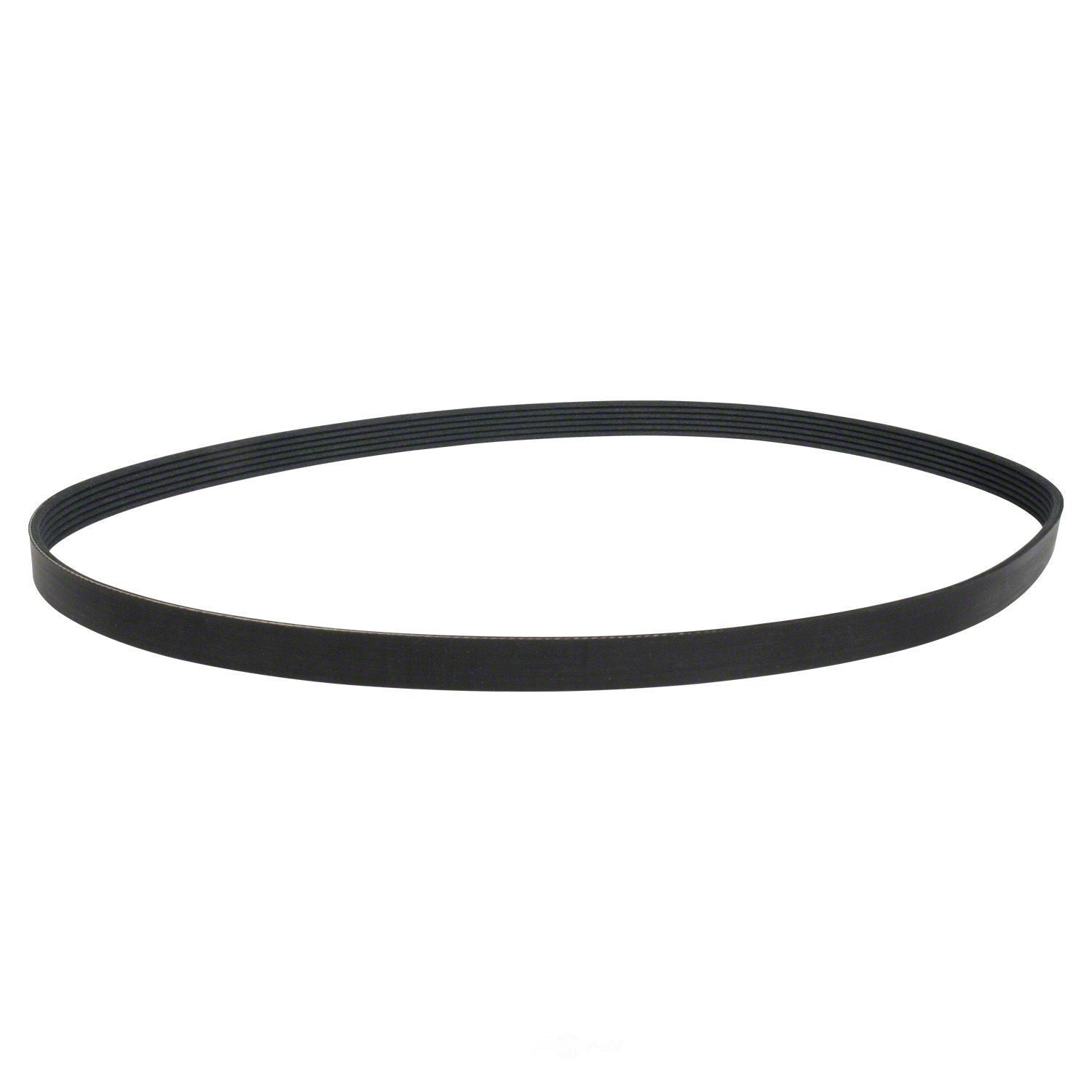 Serpentine Belt  Motorcraft  JK6-505