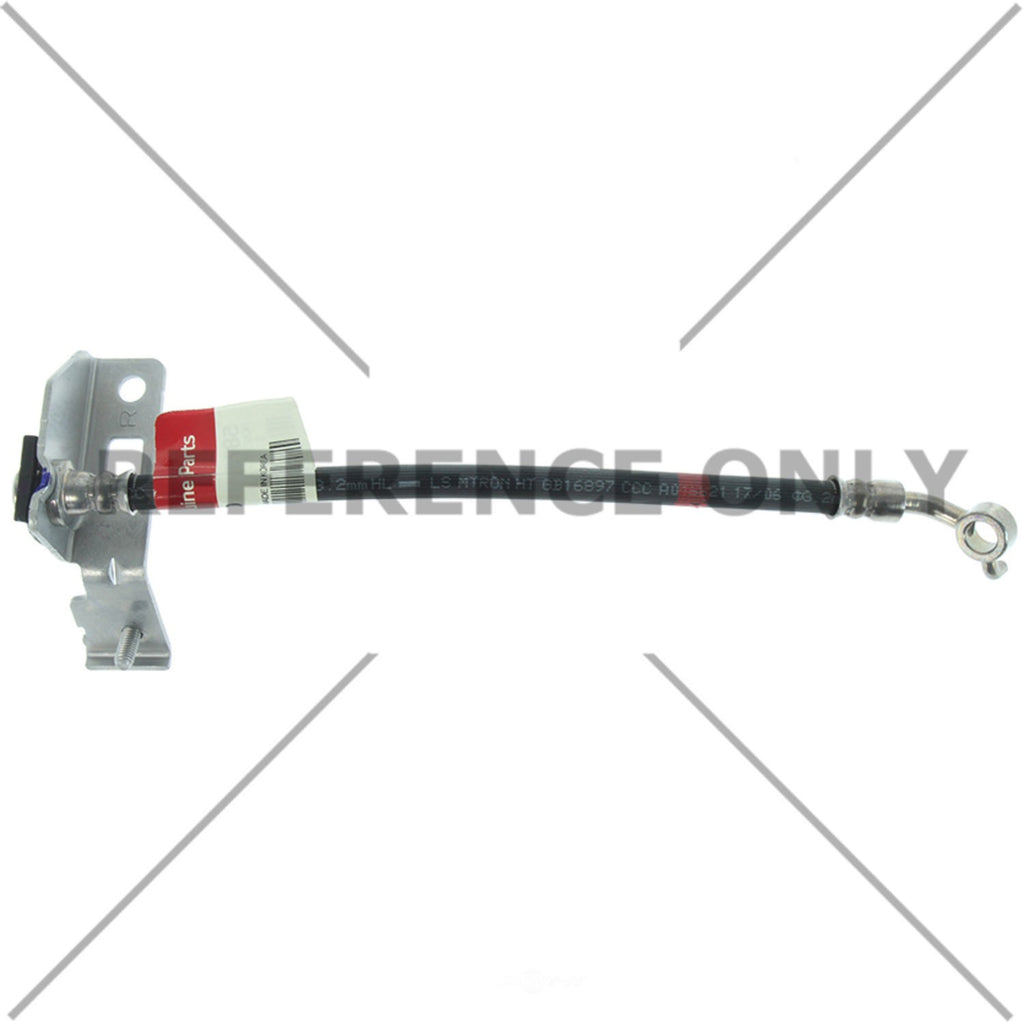 Rr Brake Hose  Centric Parts  150.50387