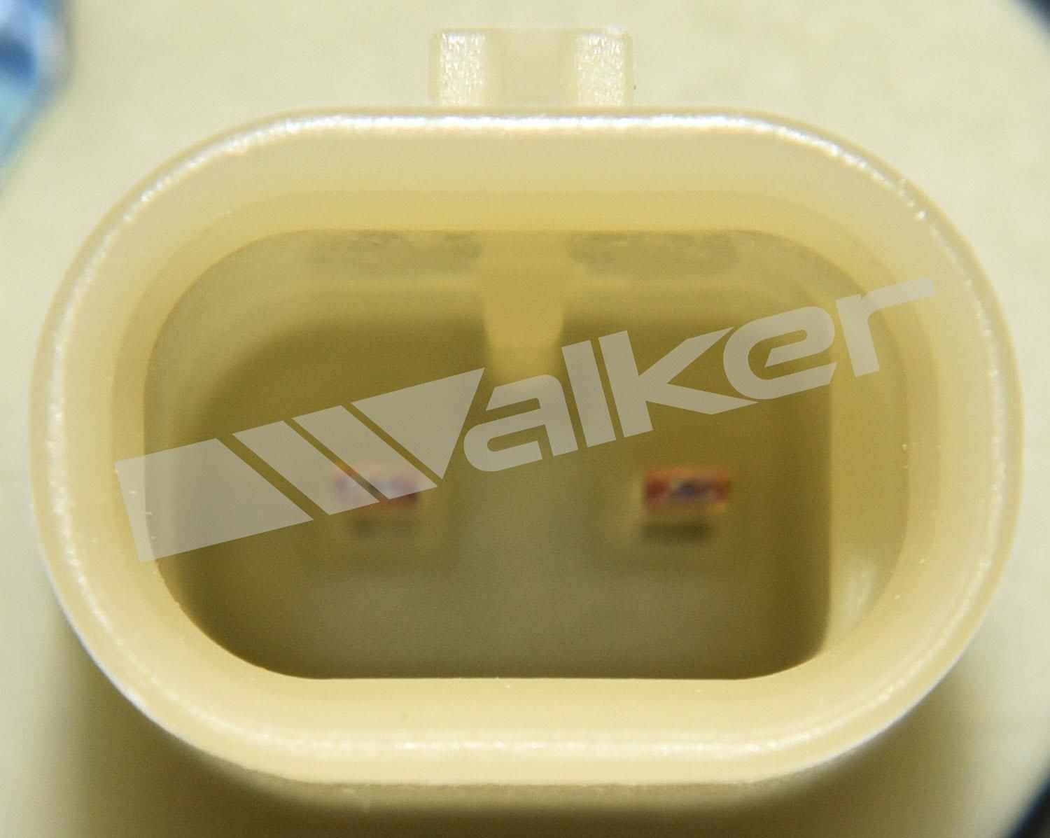 Variable Camshaft Timing Solenoid  Walker Products  590-1174