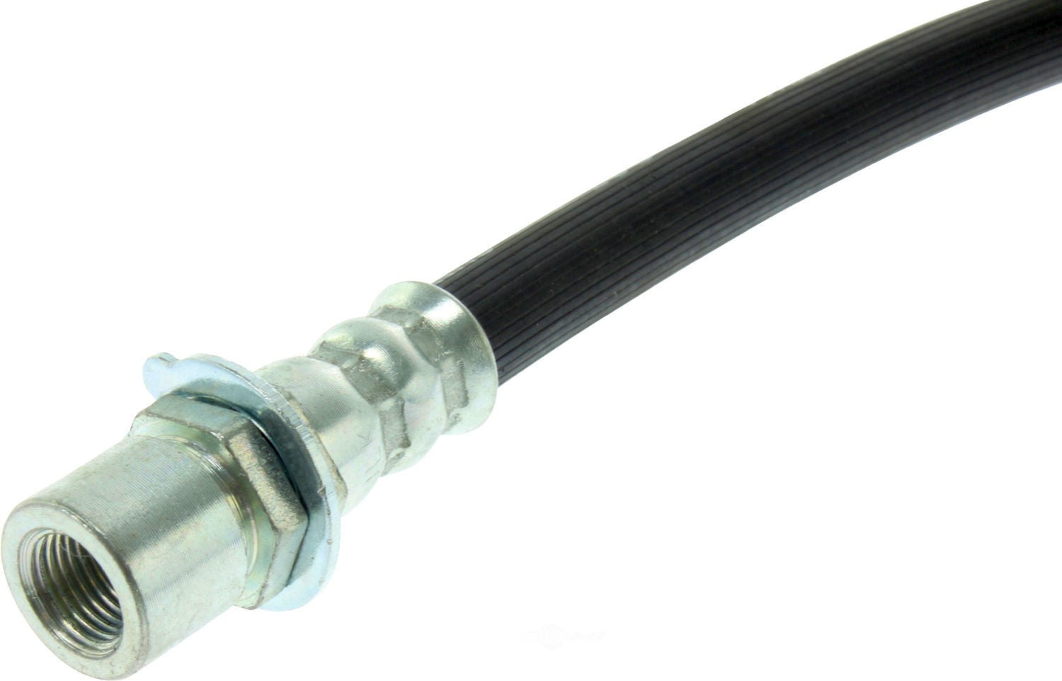 Rr Brake Hose  Centric Parts  150.66415