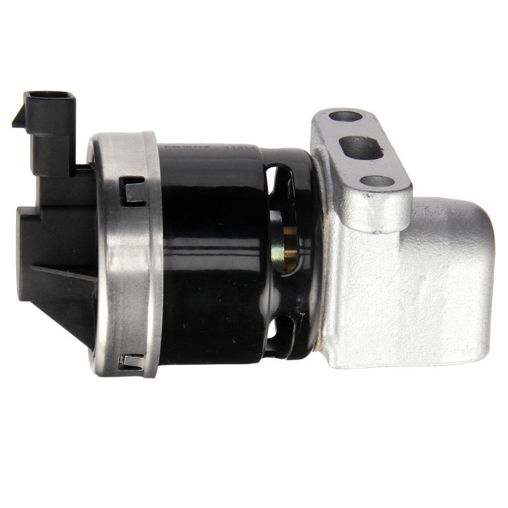 EGR Valve  Delphi  EG10172