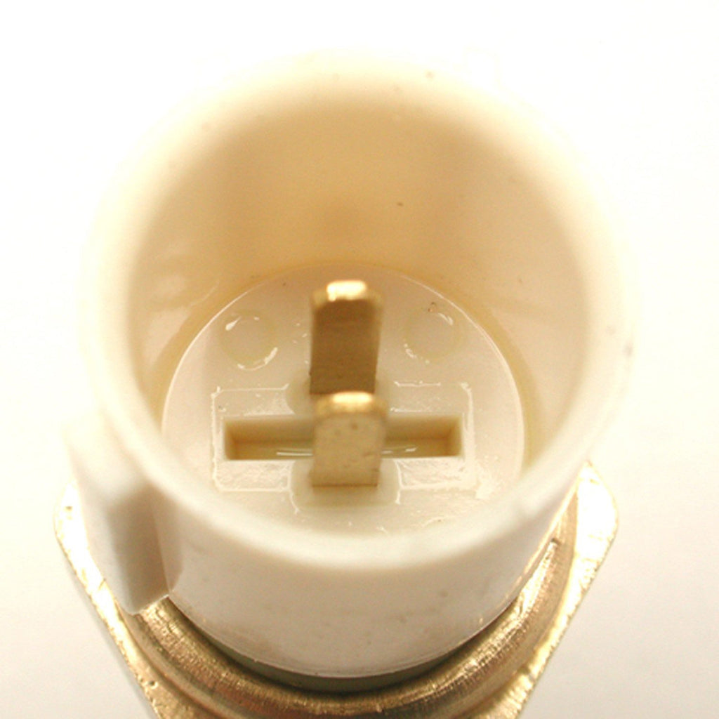 Coolant Temp Sensor  Delphi  TS10180