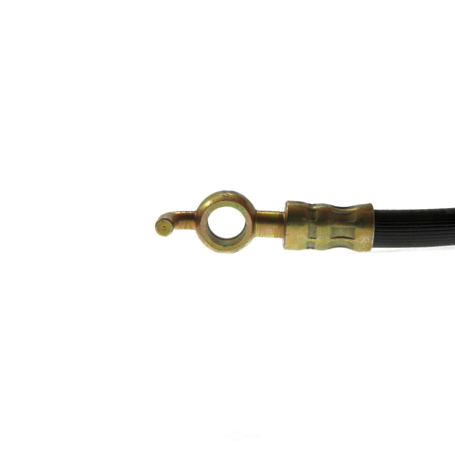 Rr Brake Hose  Centric Parts  150.42317