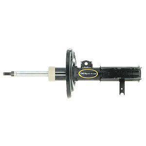 Frt OESpectrum Strut  Monroe/Expert Series  73091