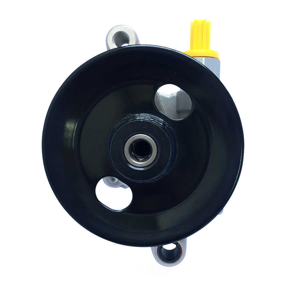 New Power Strg Pump  Edelmann  6044P