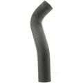 Lower Radiator Hose  Dayco  72364