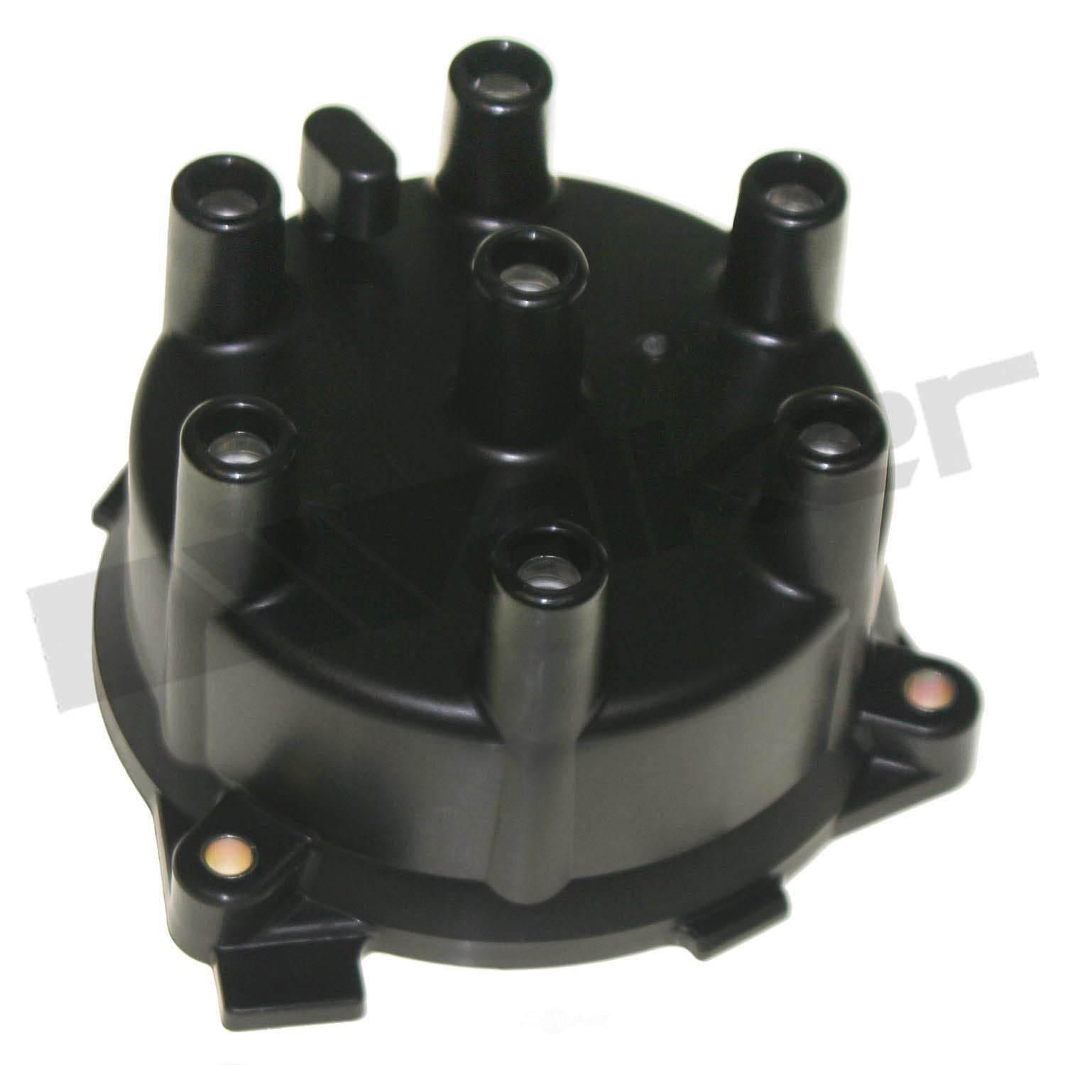 Dist Cap  Walker Products  925-1039