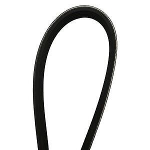 Serpentine Belt  Skyward Automotive  SK060875