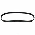 Serpentine Belt  Motorcraft  JK4-286