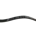 Serpentine Belt  Skyward Automotive  SK060605