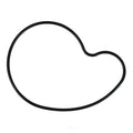 Water Pump Mounting Gasket   Fel-Pro   36042