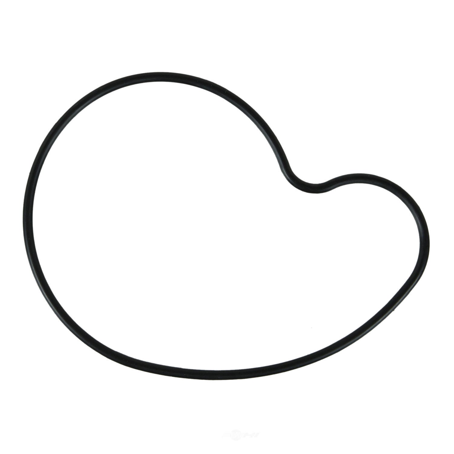 Water Pump Mounting Gasket   Fel-Pro   36042