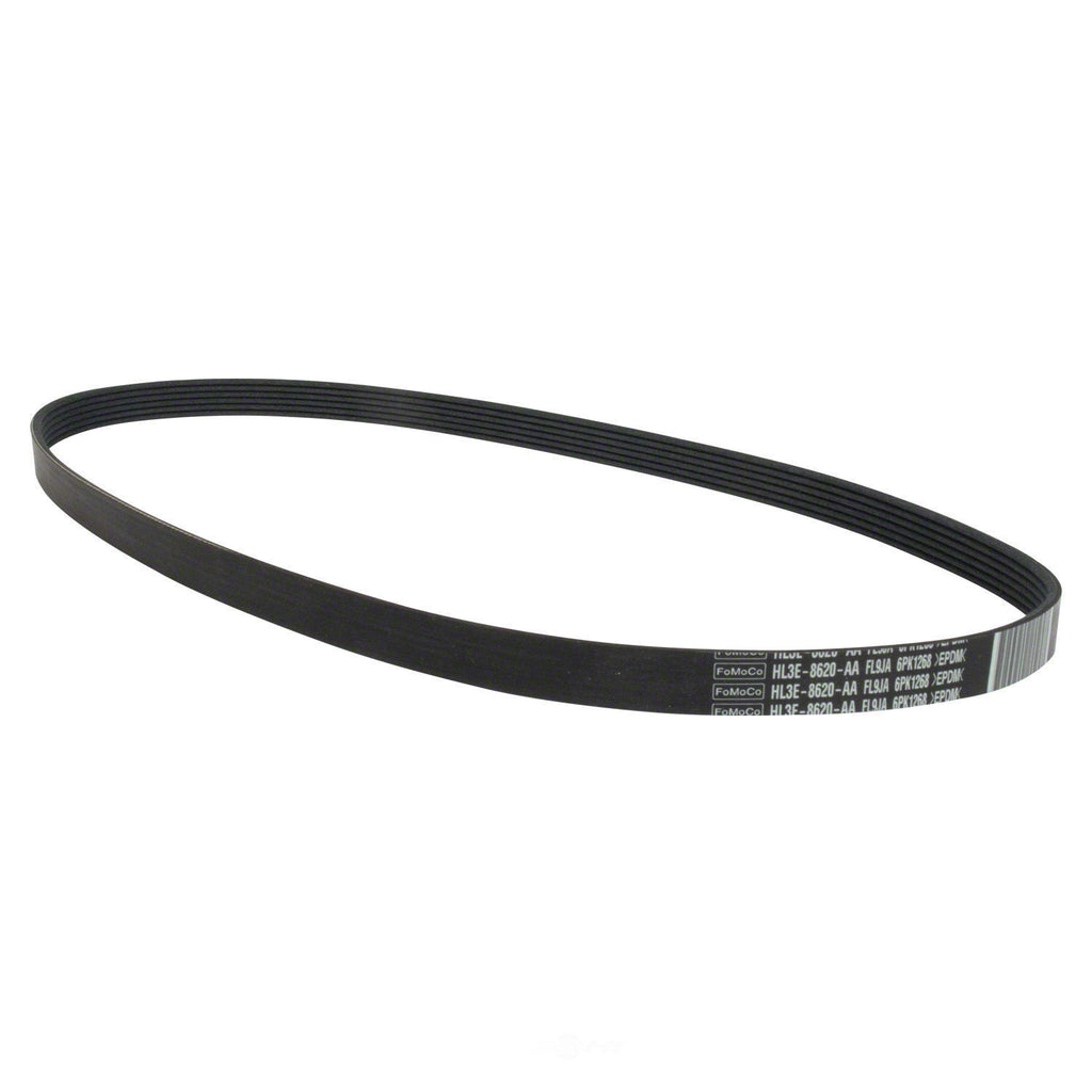 Serpentine Belt  Motorcraft  JK6-505