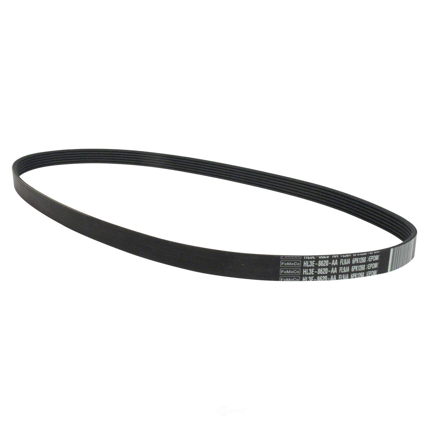 Serpentine Belt  Motorcraft  JK6-505
