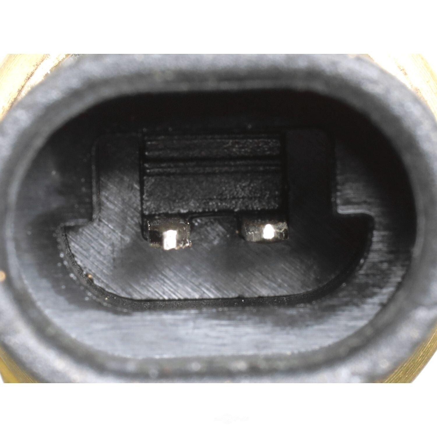 Coolant Temp Sensor  Delphi  TS10076