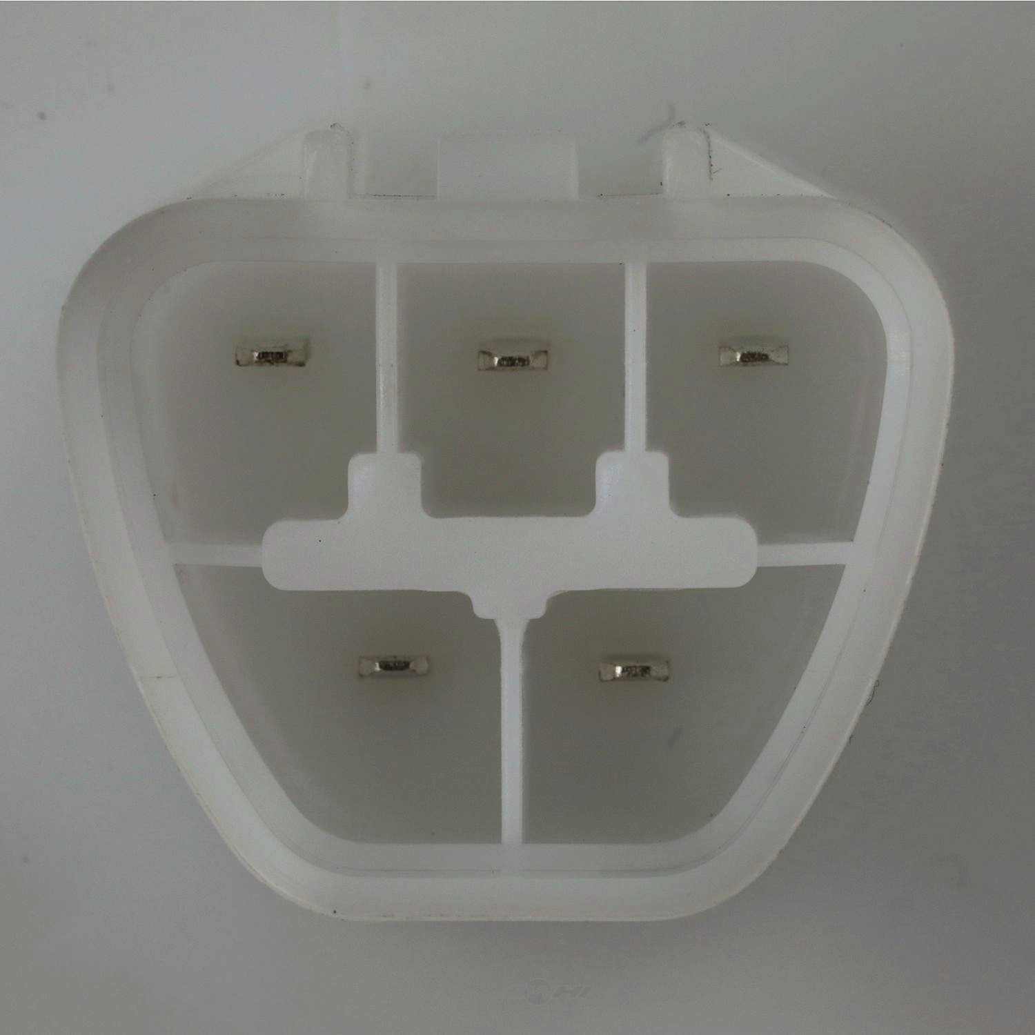 Fuel Pump Module Assy  Delphi  FG1173