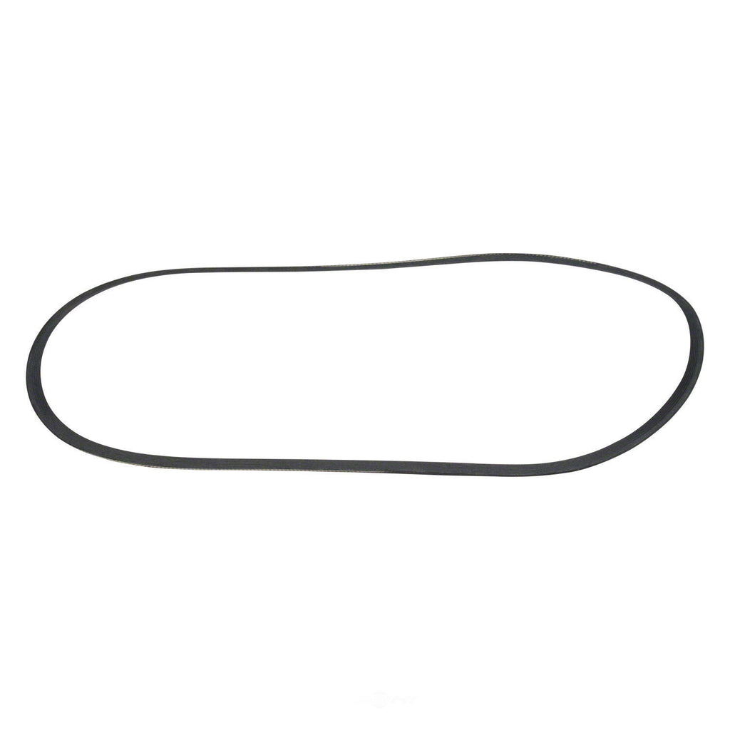 Serpentine Belt  Motorcraft  JK6-505