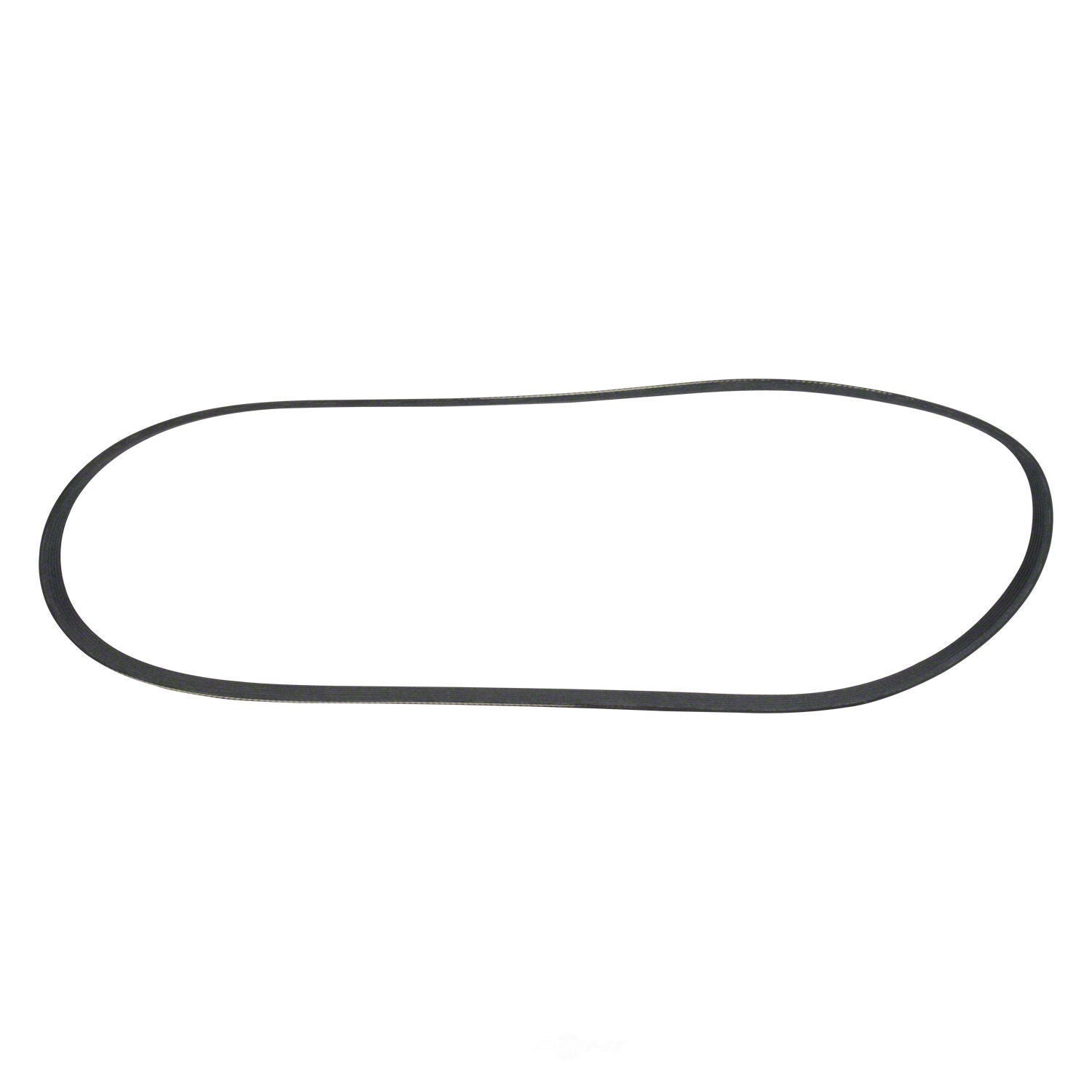 Serpentine Belt  Motorcraft  JK6-505