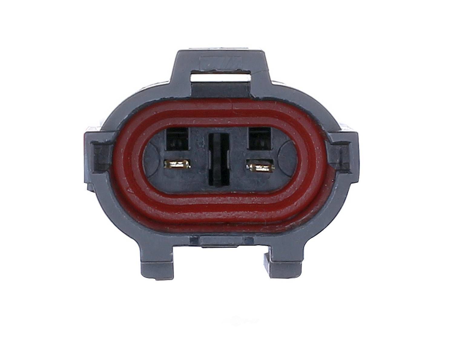 Window Reg w/ Motor  Aisin  RPAK021