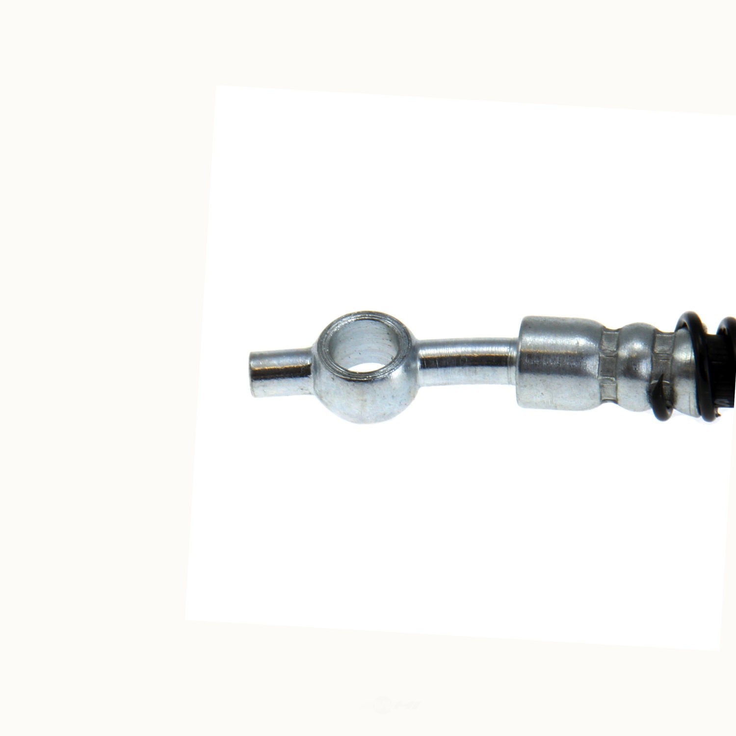 Frt Brake Hose  Centric Parts  150.22015