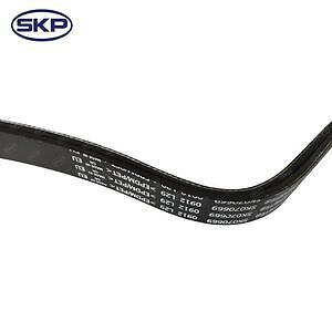 Serpentine Belt  Skyward Automotive  SK070669