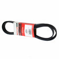 Serpentine Belt  Motorcraft  JK6-674
