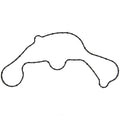 Water Pump Mounting Gasket   Fel-Pro   35930