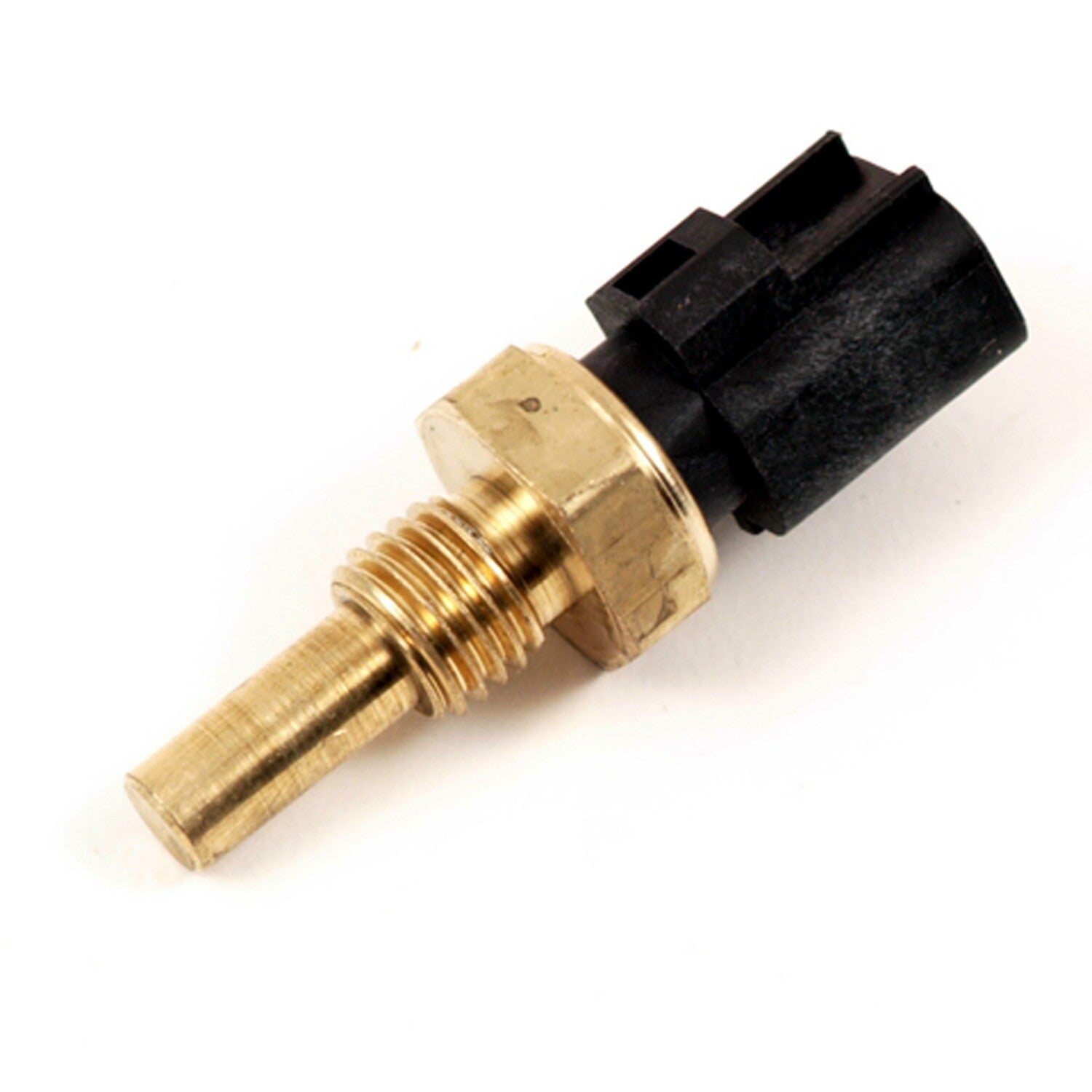 Coolant Temp Sensor  Delphi  TS10198