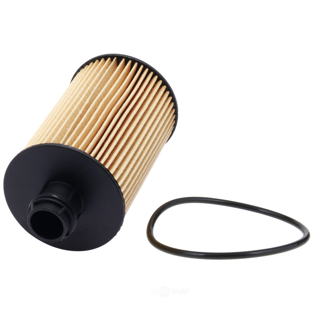 Oil Filter  Champ/Champion Labs  P1014