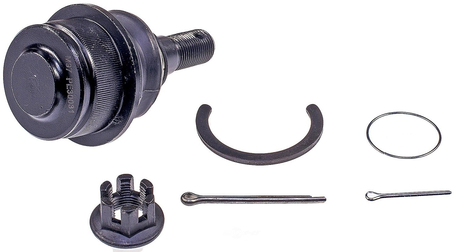 Lower Ball Joint   FVP   BJ75085