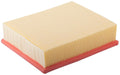 Air Filter  Power Train Components  PA5601